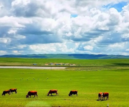 艱苦卓絕，奮楫篤行! 2025唐姆渠道事業部年中營銷峰會圓滿舉行
