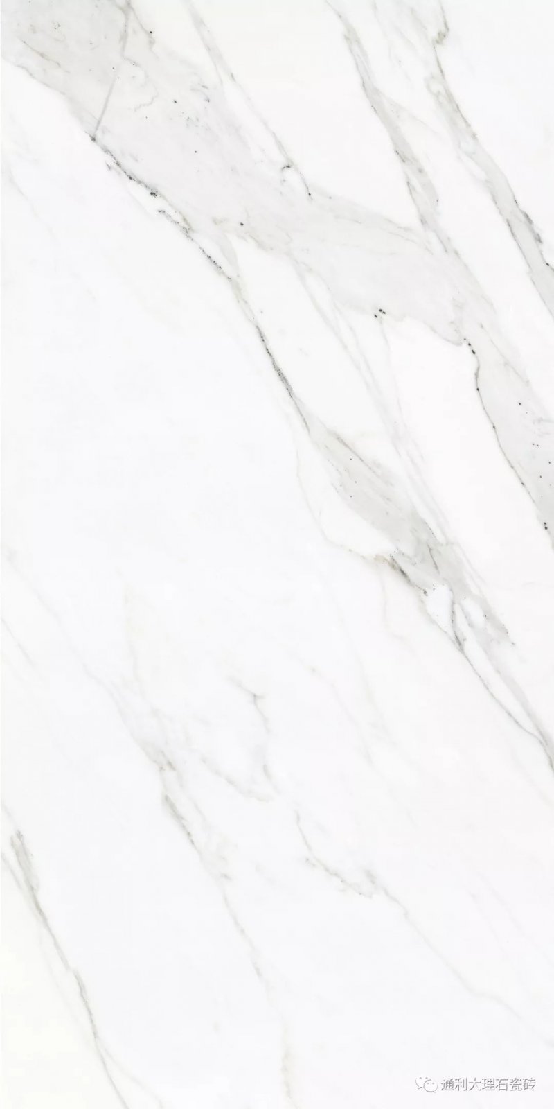 不一樣的通利 2019通利秋季新品震撼來襲