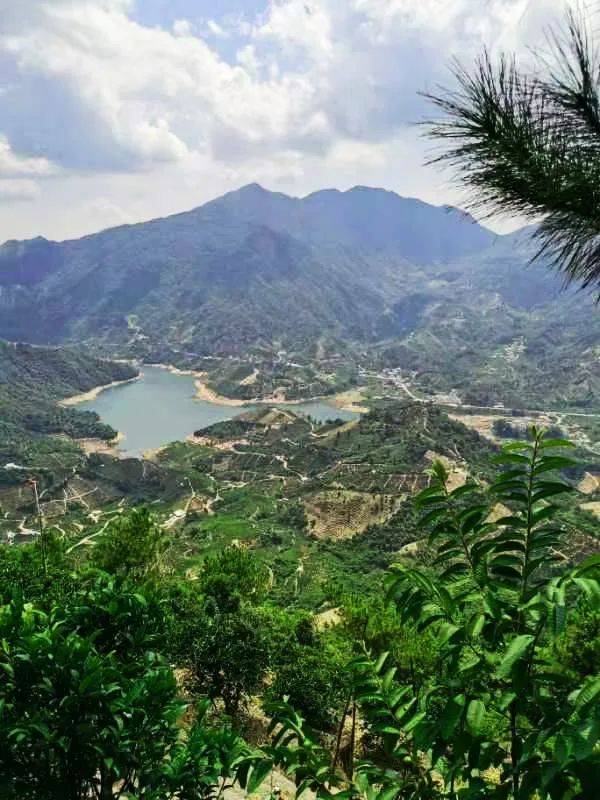 1668581996103775.jpg 9.jpg