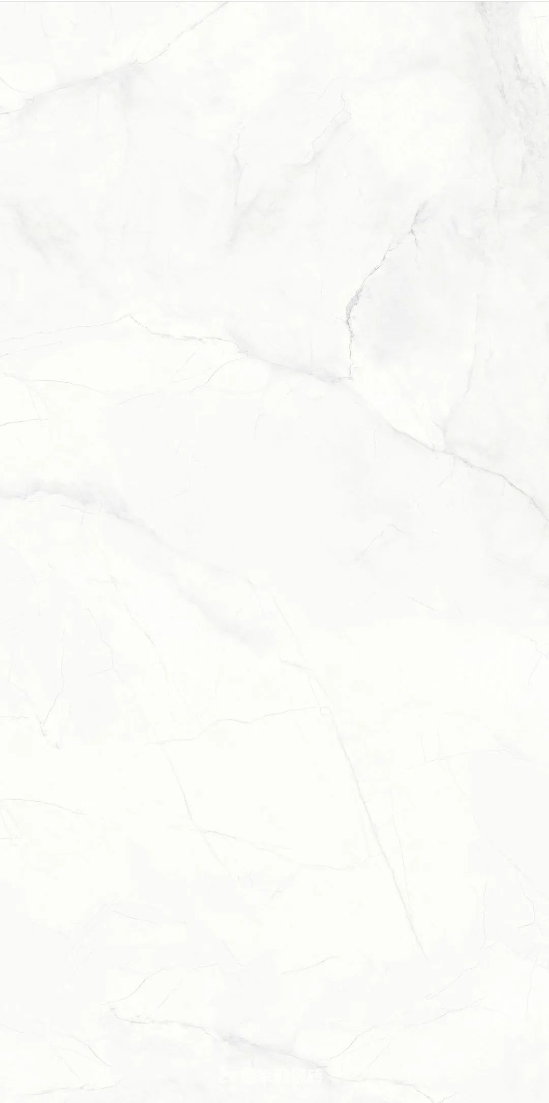 1685082345979838.jpg 10.jpg