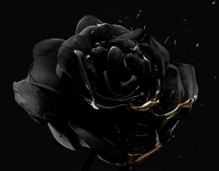 1685693289299843.png image.png