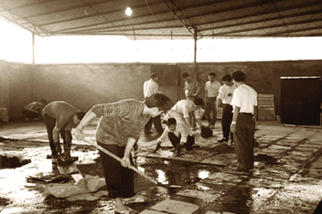 1694589553781317.png 5.png