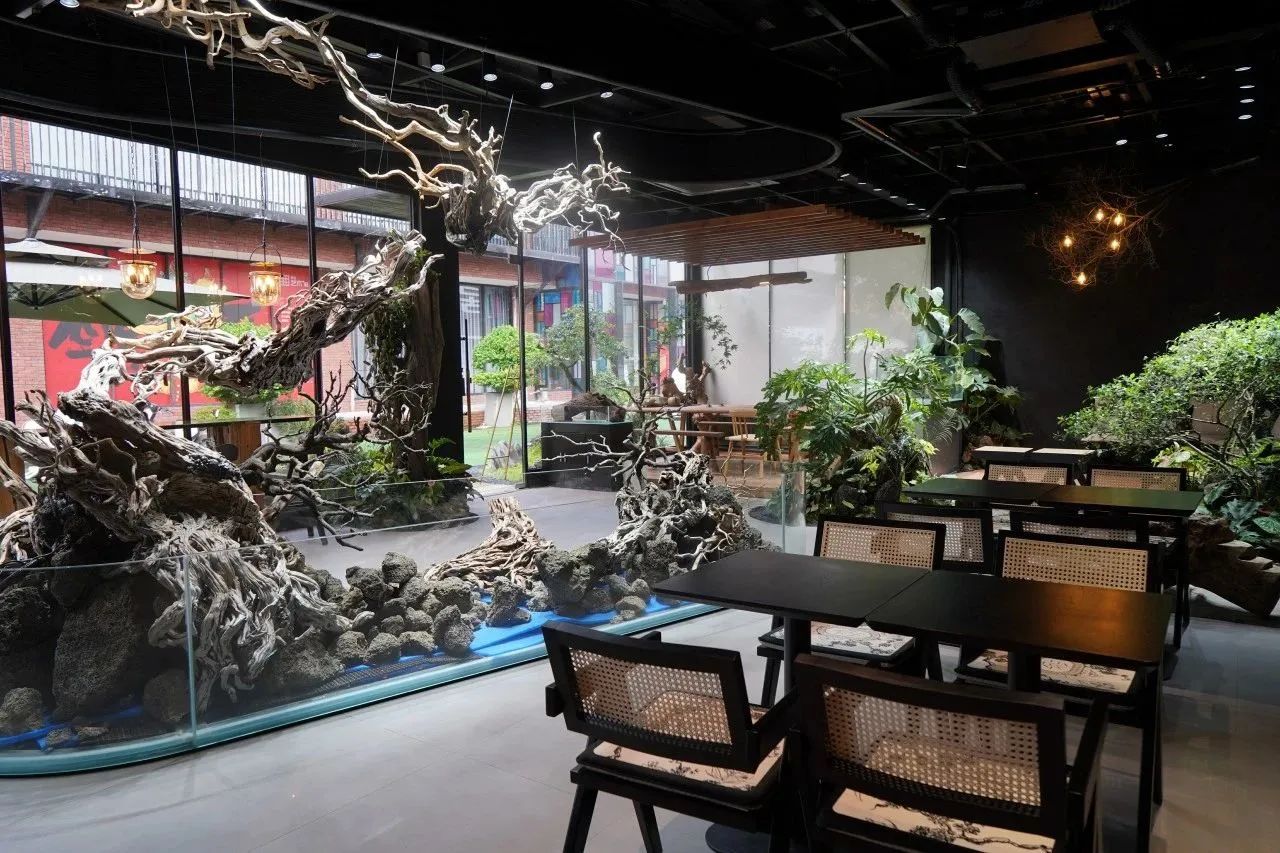 1694747937688759.jpg 1694747937688759.jpg