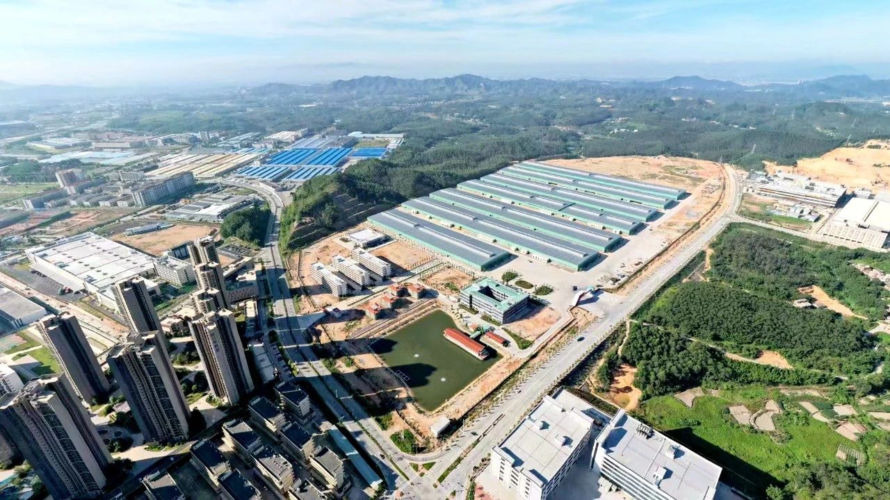 1698716646266040.jpg 1698716646266040.jpg