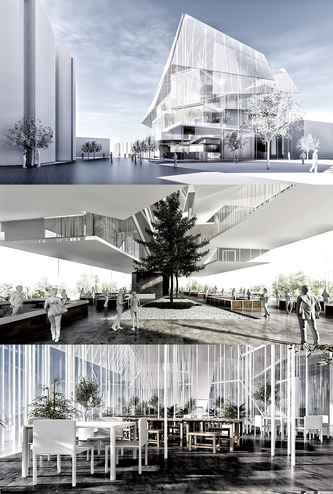 1701854161681287.jpg 14.jpg