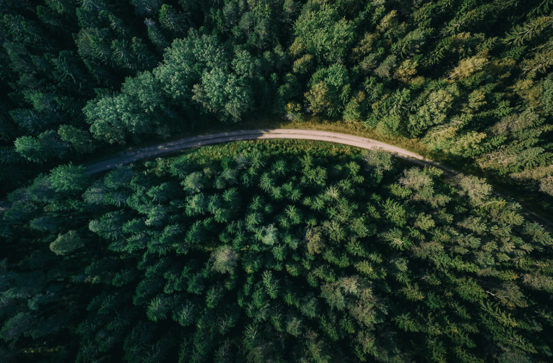 1701910423499471.png 圖片4.png