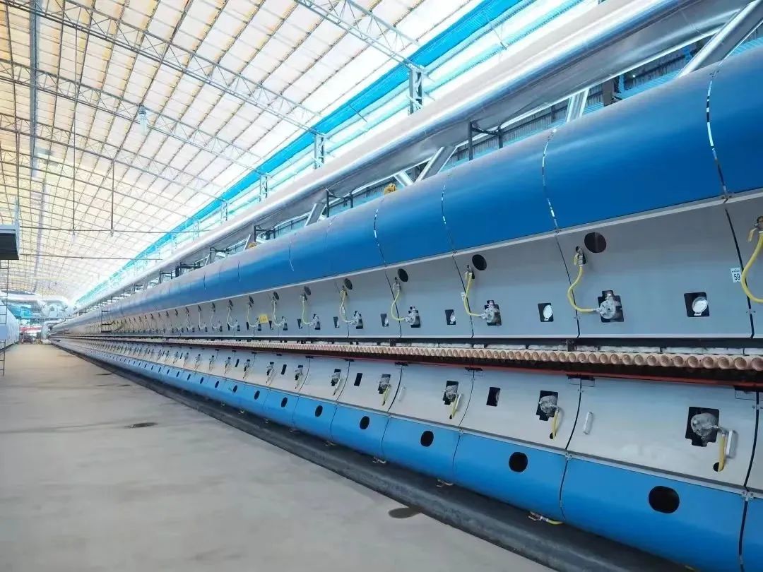 1704158862504323.jpg 11.jpg