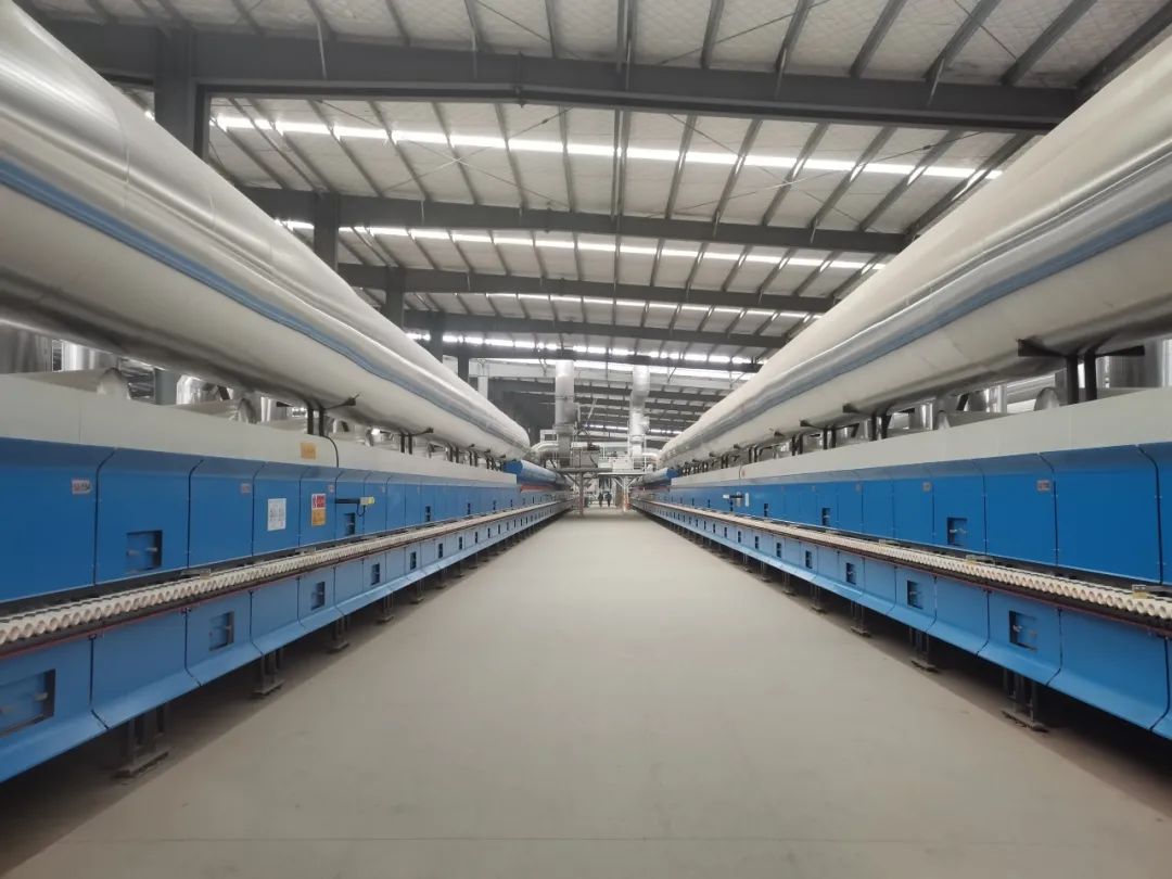 1704448225513055.jpg 56.jpg