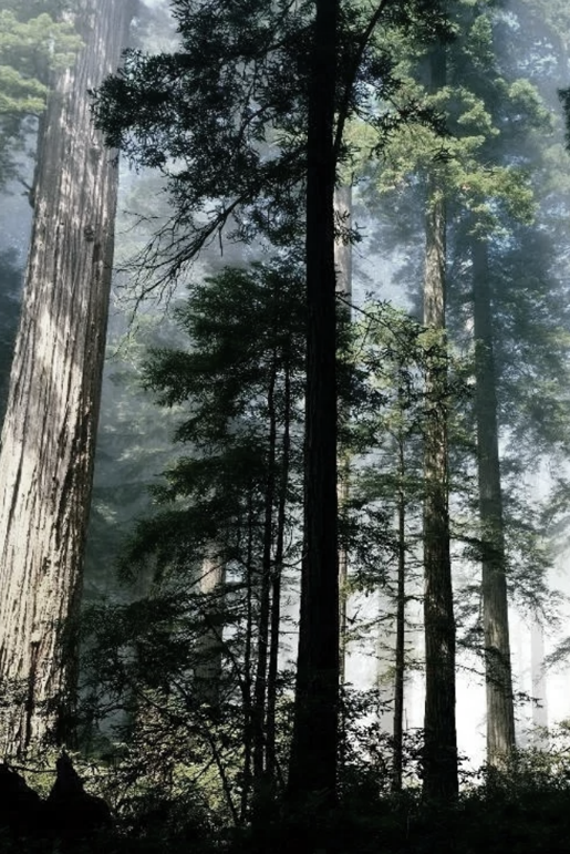 1705290401686424.png 640.png