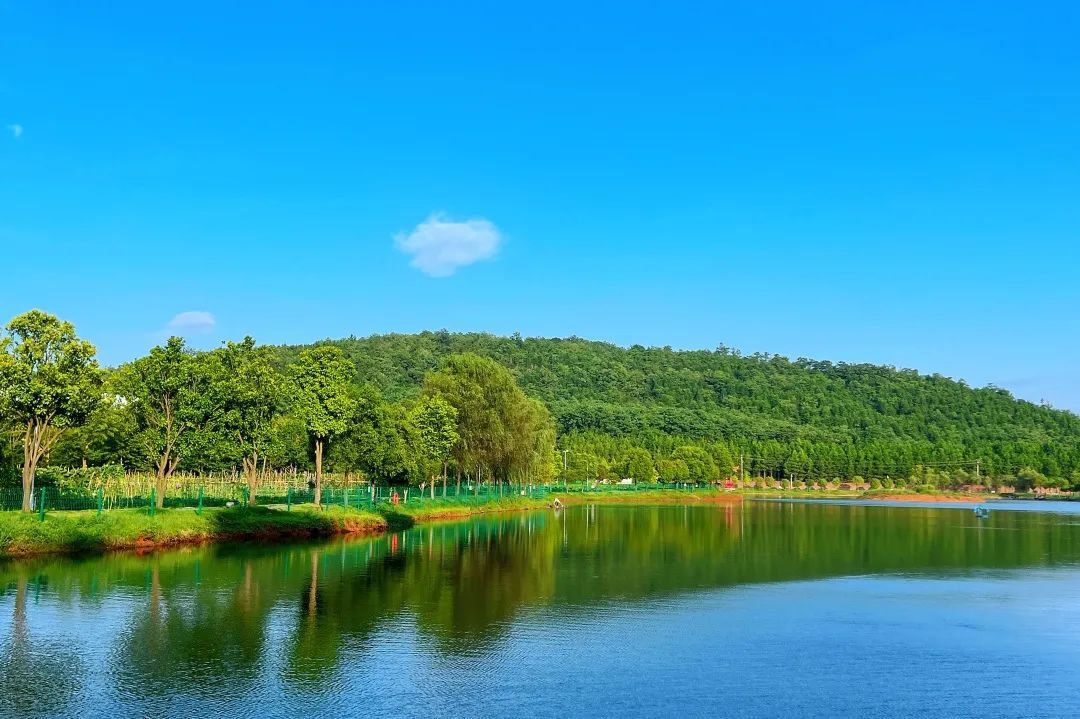 1706337881809401.jpg 4.jpg