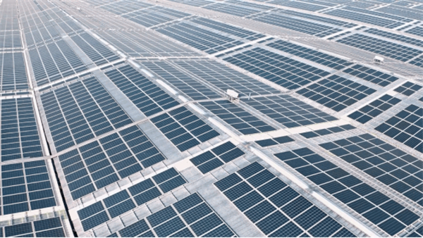 1711939675794116.png 2023022317283359025.png