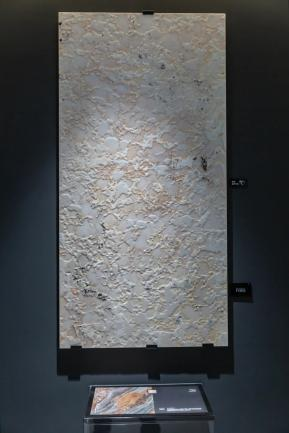 1713274961176769.png 圖片 2.png