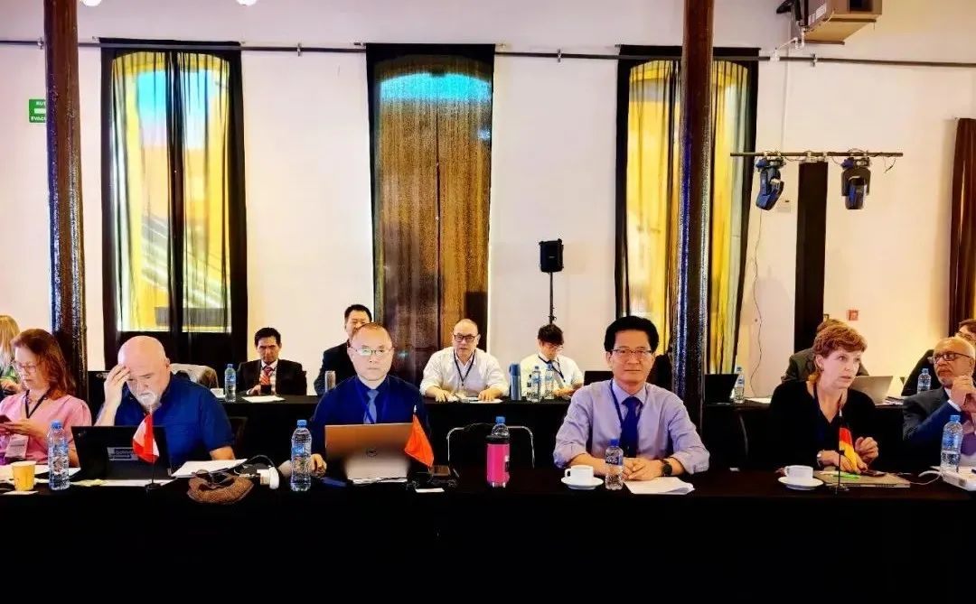 1717552379507165.jpg 12.jpg