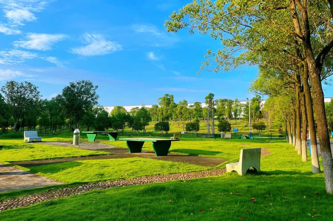 1719565581711012.png 圖片1.png