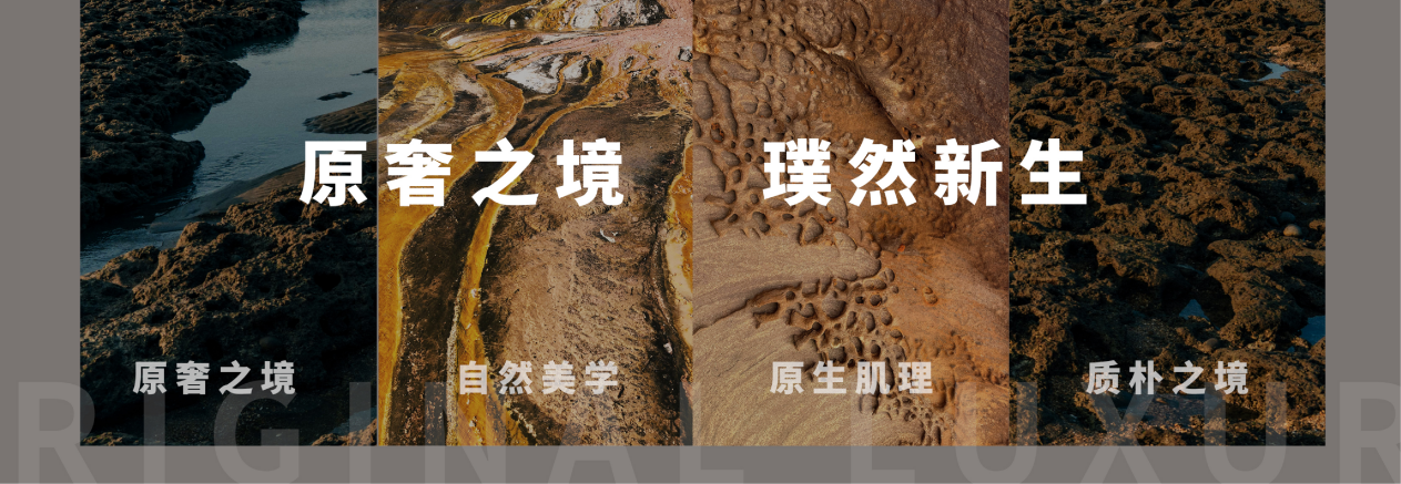 1742353812488742.png 圖片 2.png