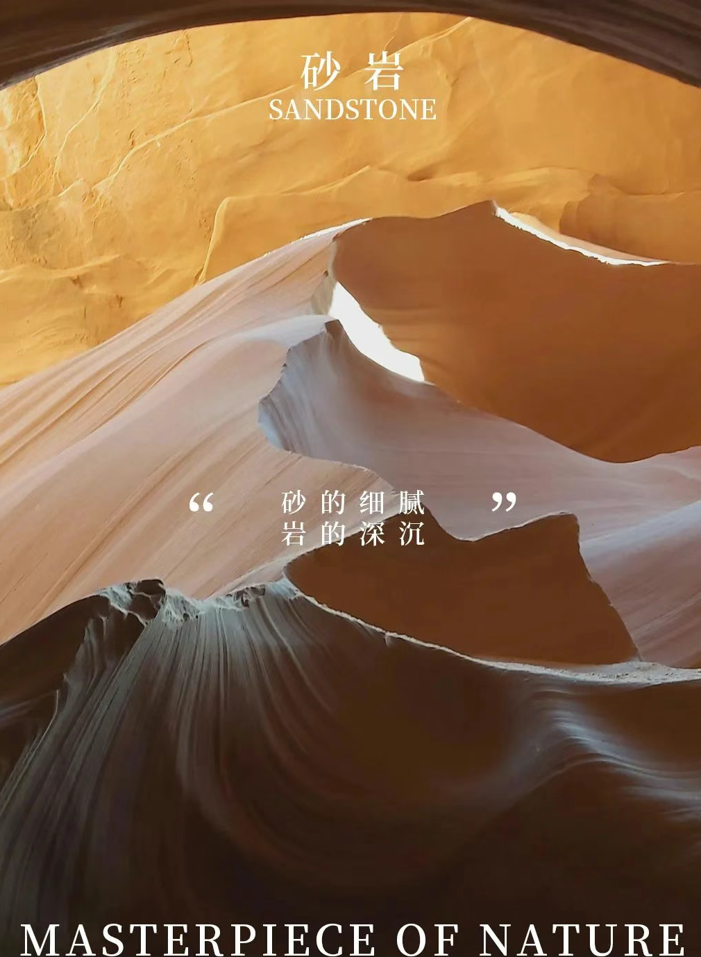 1744874834586863.png 圖片 36.png