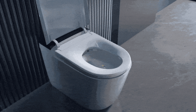 1754962773663217.jpg 1754962771197.jpg